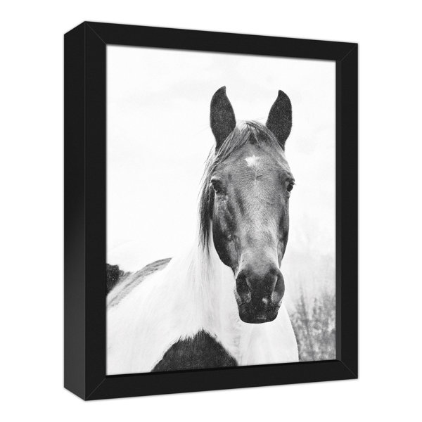 Gracie Oaks Lone Horse Picture Frame Photograph on Canvas Wayfair